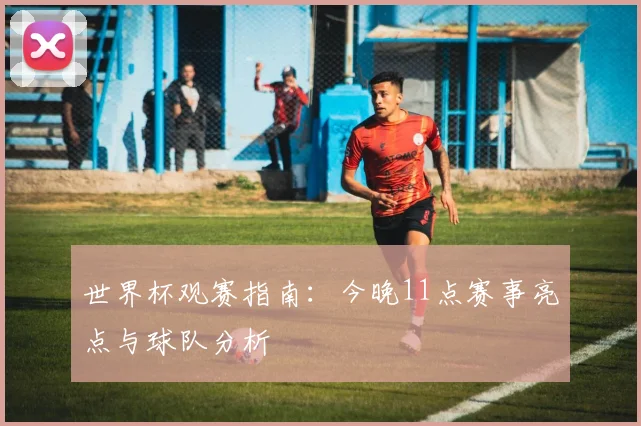 世界杯观赛指南：今晚11点赛事亮点与球队分析