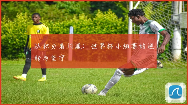 从积分看门道：世界杯小组赛的逆转与坚守