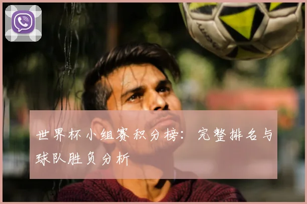 世界杯小组赛积分榜：完整排名与球队胜负分析